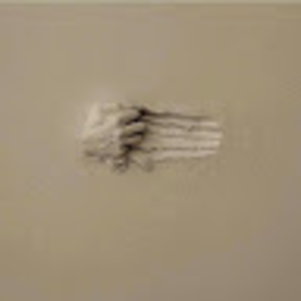 Meet your Posher, Roni